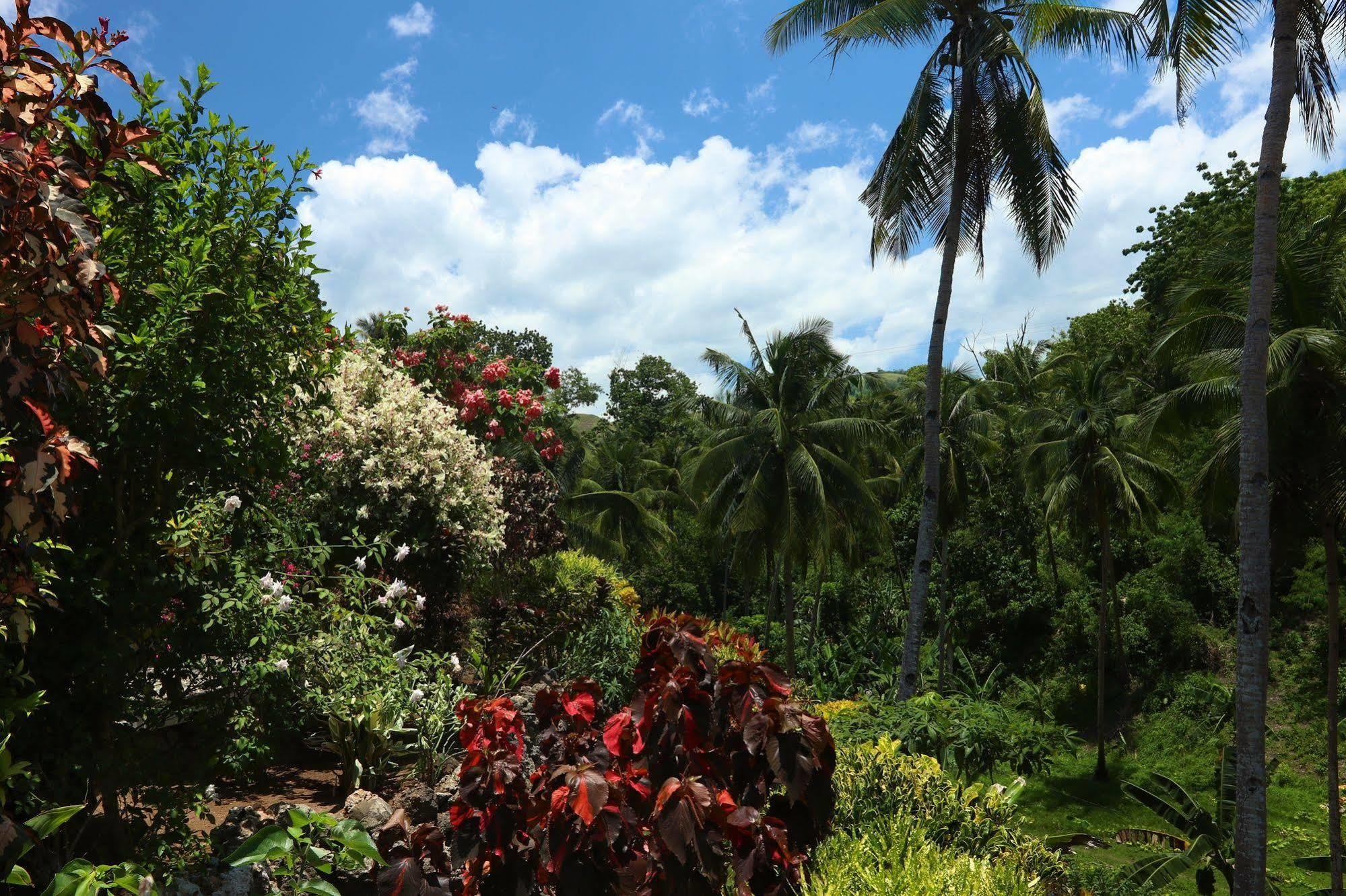Guindulman Bay Tourist Inn Buitenkant foto